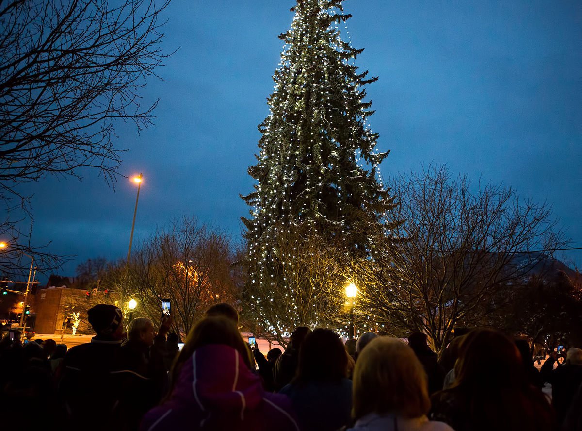 Civic Center Tree 2